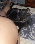 Анкета проститутки Римма - метро Перово, возраст - 23